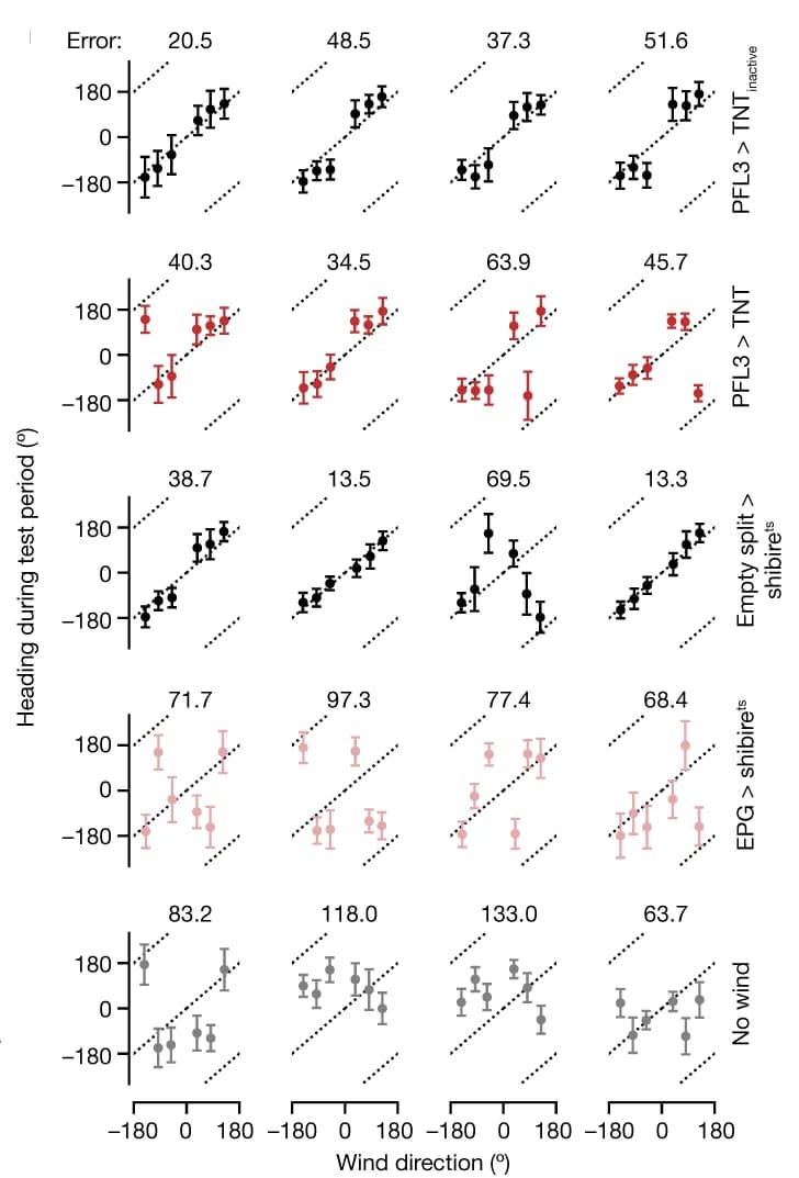 Open access visualization of Scatter Plot, Error Bars, Heading Direction, Wind Direction, Control Flies