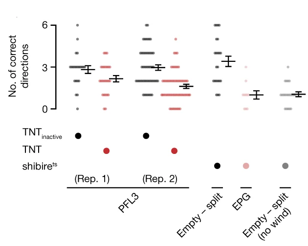 Open access visualization of Scatter Plot, Error Bars, Wind Directions, Fly, Statistical Analysis