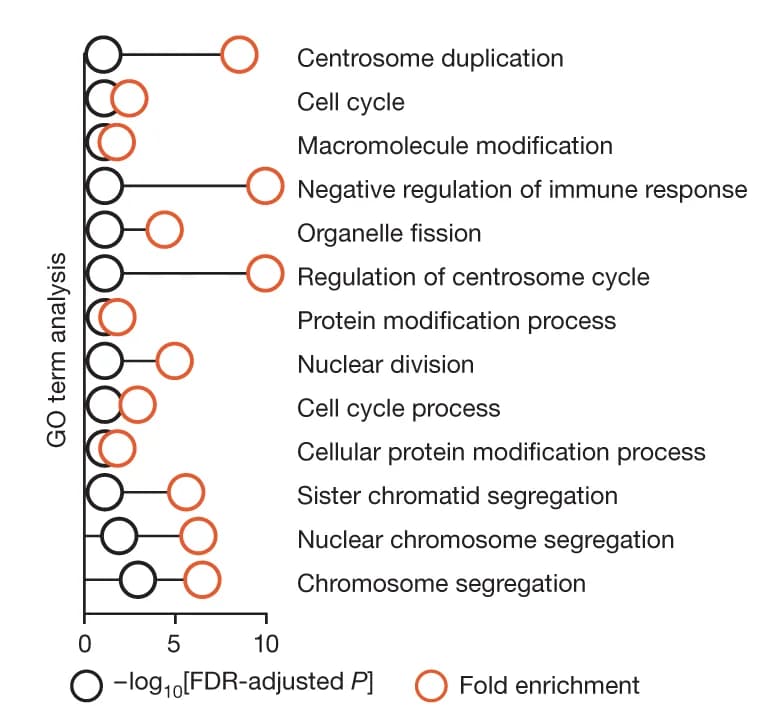 Open access visualization of Scatter Plot, Pathway Analysis, Micronucleus Screen Hits, Biological Processes, Gene Ontology