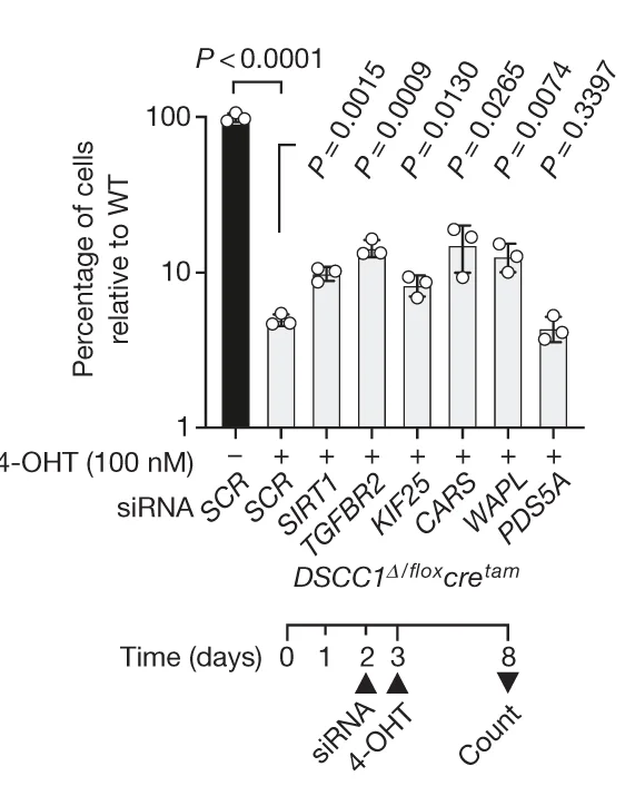 Open access visualization of Bar Plot, Error Bars, DSCC1-KD, CRISPR-Cas9, Cohesin Genes