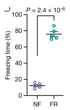 Open access visualization of Scatter Plot, Freezing Rate, Recall Phase, Mice, Student's t-test