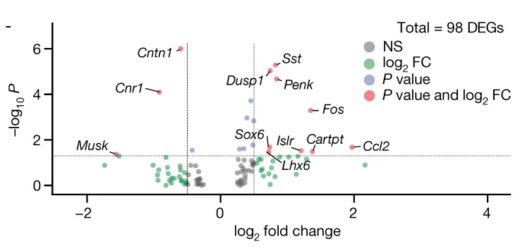 Open access visualization of Scatter Plot, Regression Plot, Fear Memory, Gene Expression, Excitatory Engram Neurons