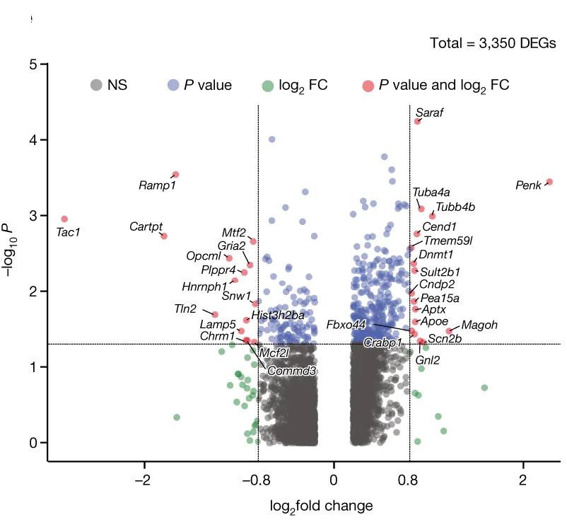 Open access visualization of Scatter Plot, scRNA-seq data, Volcano Plot, DEGs, FR Condition