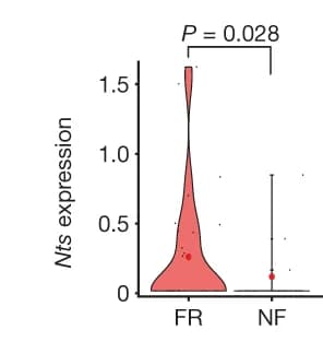 Open access visualization of Violin Plot, Box Plot, Nts Expression, tdT + B-P.EX.Syt6, Neurons