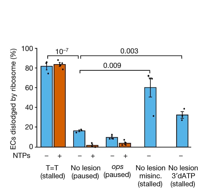 Open access visualization of Bar Plot, Error Bars, Clustered, ECs, Ribosome