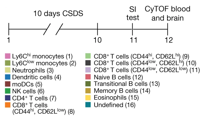 Open access visualization of Workflow, Flowchart, CyTOF Experiment, Social Interaction