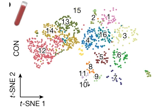 Open access visualization of Scatter Plot, UMAP, t-SNE, CD45+ Cells, Blood