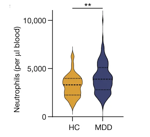 Open access visualization of Violin Plot, Neutrophils, MDD, Healthy Controls, Circulation