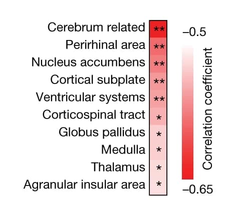 Open access visualization of Heatmap, Brain-Trafficking Monocytes, SI Ratio, Social Avoidance, Pearson Correlation Coefficient
