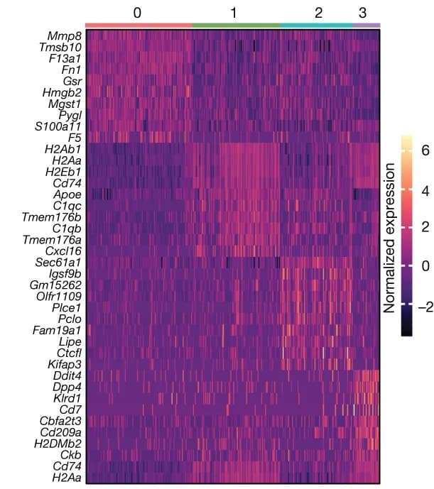 Open access visualization of Heatmap, Heat Map, Protein-Coding Genes