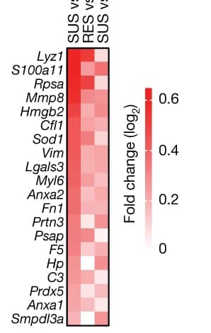 Open access visualization of Heatmap, Gene Expression, Extracellular Space, Extracellular Matrix, SUS Mice