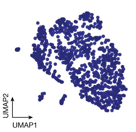 Open access visualization of Scatter Plot, UMAP, Gene Expression, Mmp8, Brain-Resident Immune Cells