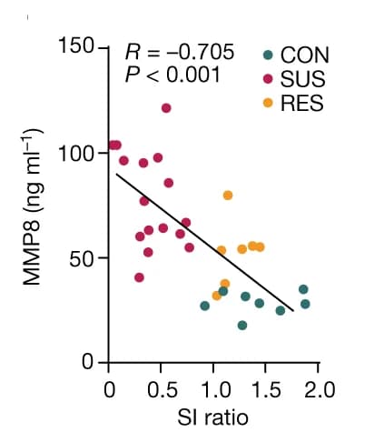 Open access visualization of Scatter Plot, Regression Plot, Correlation, MMP8, Circulation