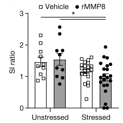 Open access visualization of Bar Plot, Error Bars, SI Ratio, Mice, rMMP8