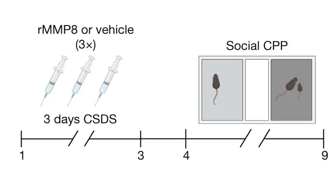 Open access visualization of Workflow, Illustration, Experimental Outline