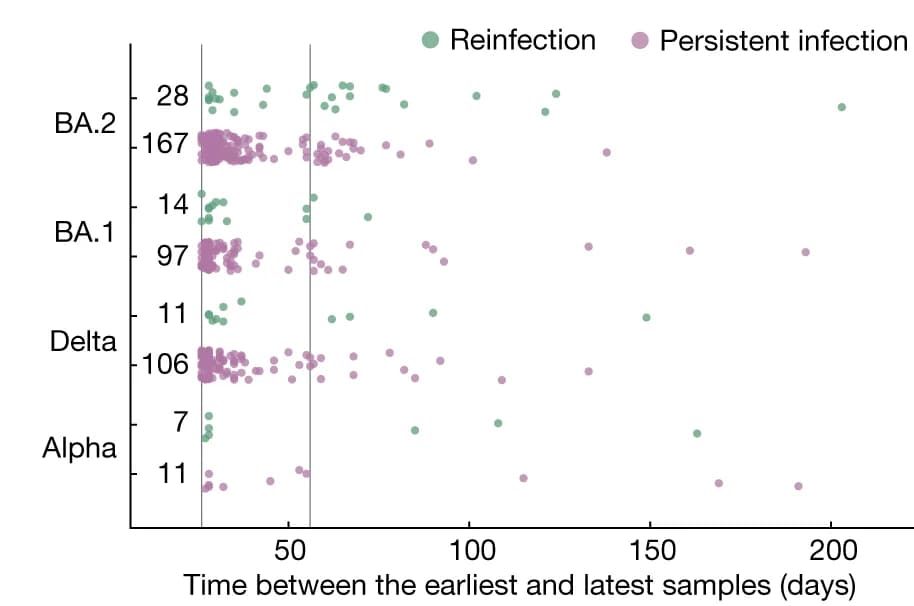 Open access visualization of Scatter Plot, Genomic Samples, Persistent Infections, Reinfections, Major Lineage