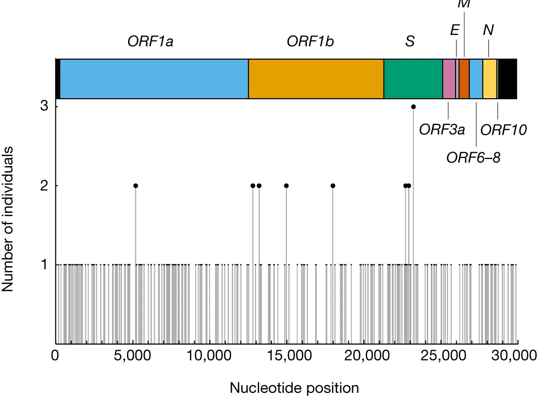 Open access visualization of Bar Plot, Error Bars, Mutations, Consensus Change, Persistent SARS-CoV-2 RNA