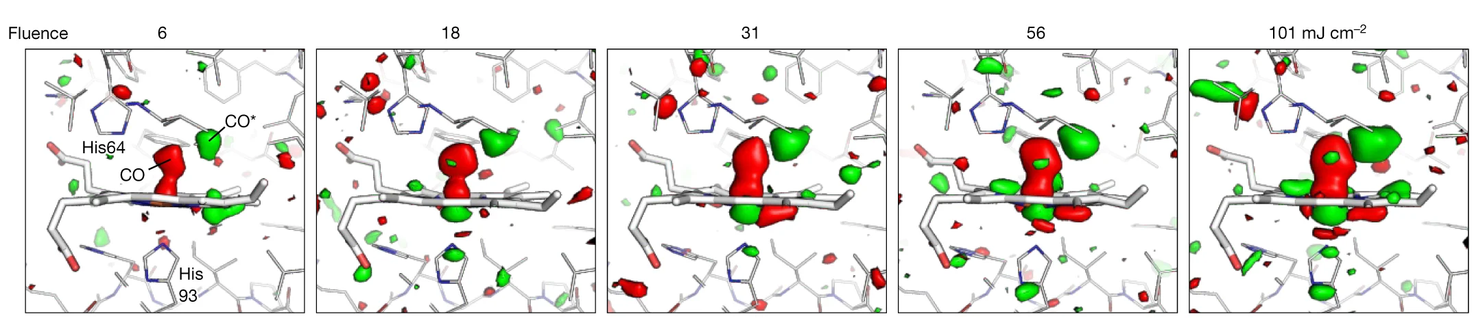 Open access visualization of Protein Structure, Chemical Structure, Electron Density Maps, Myoglobin, Pump Energies