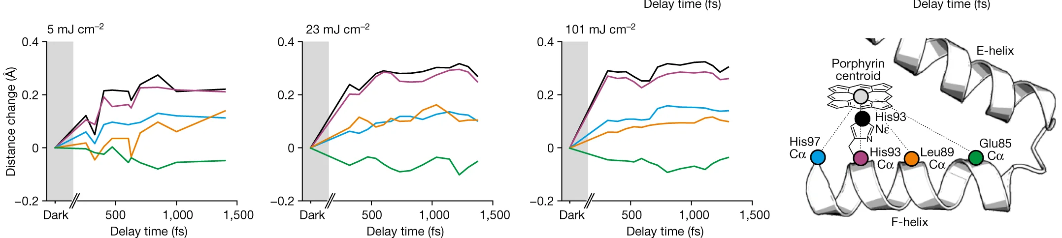 Open access visualization of Line Plot, Chemical Structure, Correlated Motion, F-helix, Haem Centroid