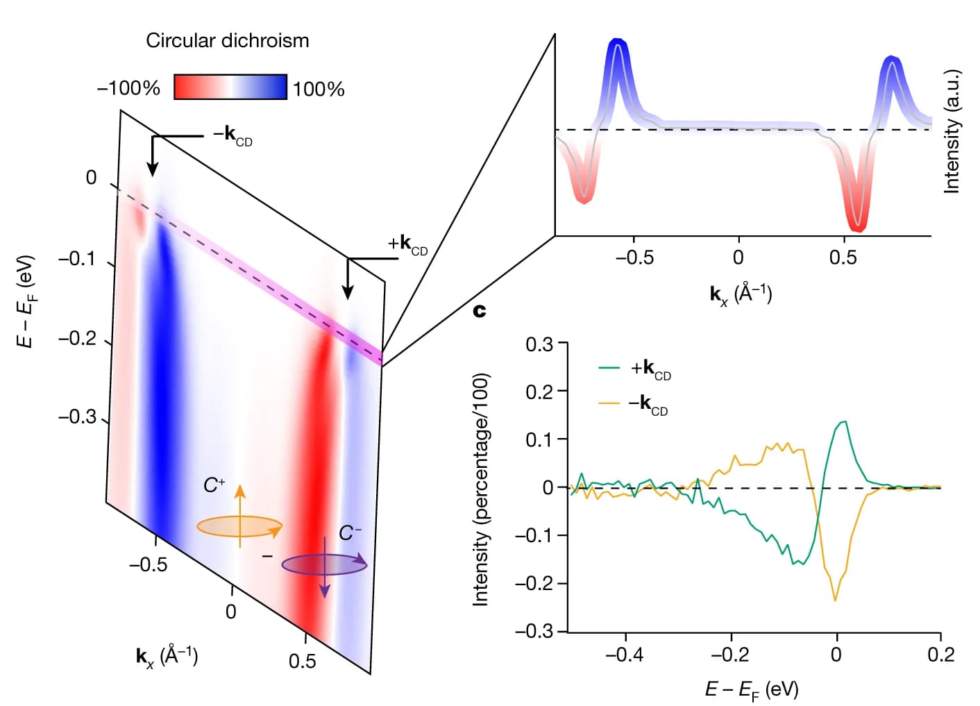 Open access visualization of Heatmap, Line Plot, Circular Dichroism, ARPES Spectrum, Polarized Light