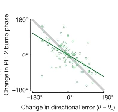 Open access visualization of Scatter Plot, Regression Plot, PFL2 Bump Phase, Directional Error, PFL2 Activity