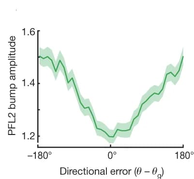 Open access visualization of Line Plot, Error Bars, PFL2 Bump Amplitude, Directional Error, Flies
