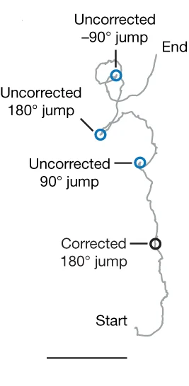 Open access visualization of Line Plot, Virtual Environment, Fly Path, Correction Probability