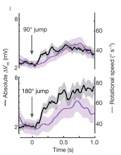 Open access visualization of Line Plot, Error Bars, Δ V m, Rotational Speed, Corrected Jumps