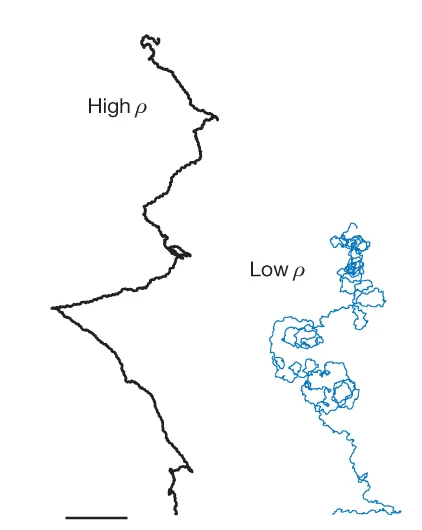 Open access visualization of Line Plot, Virtual Environment, Fly Path, Head Direction Consistency