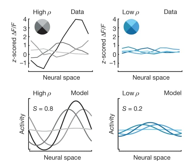 Open access visualization of Line Plot, Pie Chart, PFL2 Activity, Head Direction, PFL2 Bump Amplitude