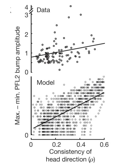 Open access visualization of Scatter Plot, Regression Plot, PFL2 Activity, Spatial Profile, Bump Amplitude Modulation