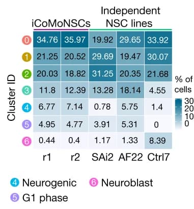 Open access visualization of Heatmap, Cell Distribution, Clusters, Replicates
