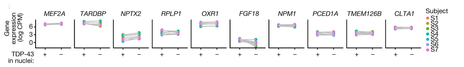 Open access visualization of Line Plot, Scatter Plot, Gene Expression, Neuronal Nuclei, Marker Genes
