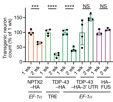 Open access visualization of Bar Plot, Error Bars, Transgenic Neurons, HA-tag, DAPI