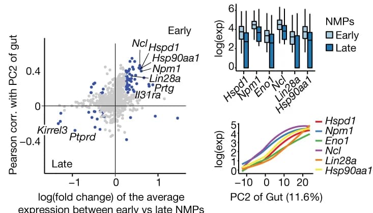 Open access visualization of Scatter Plot, Box Plot, Line Plot, Error Bars, 2D UMAP