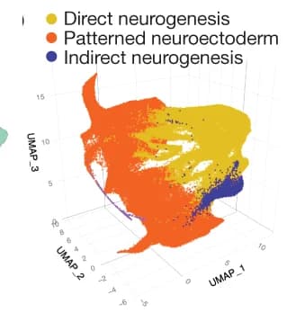 Open access visualization of UMAP, 3D Plot, 3D UMAP, Neuroectodermal Territories, Cell Types