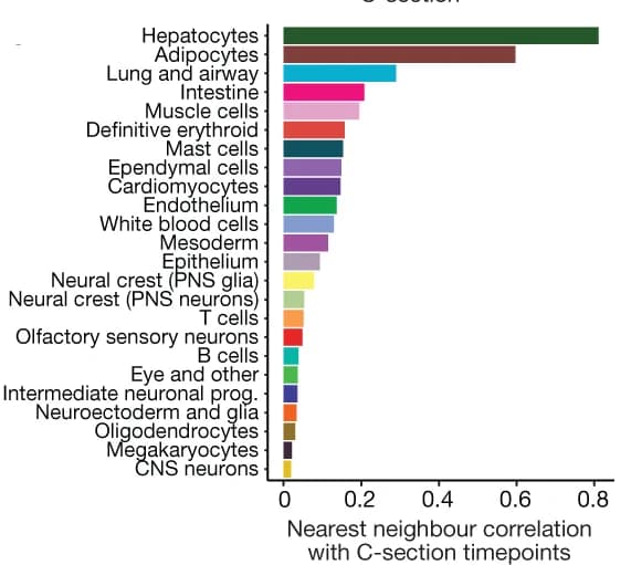 Open access visualization of Bar Plot, Cell Cluster, Pearson Correlation, Transcriptional State