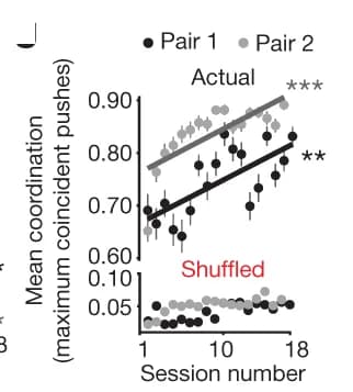 Open access visualization of Line Plot, Scatter Plot, Error Bars, Regression Plot, Push Coordination