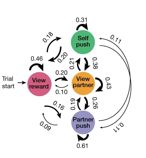 Open access visualization of Network, Pathway, Hidden Markov Model, Transitional Probabilities, Event Pairs