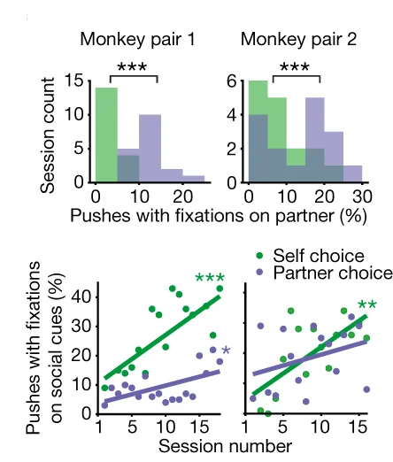 Open access visualization of Bar Plot, Scatter Plot, Regression Plot, Self Choice, Partner Choice