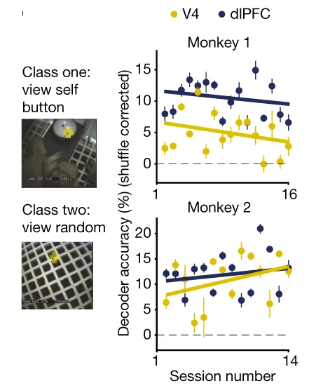 Open access visualization of Scatter Plot, Line Plot, Regression Plot, Error Bars, Decoding Performance
