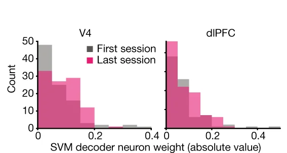 Open access visualization of Bar Plot, Stacked Bar Plot, Neurons, Weights, SVM Model