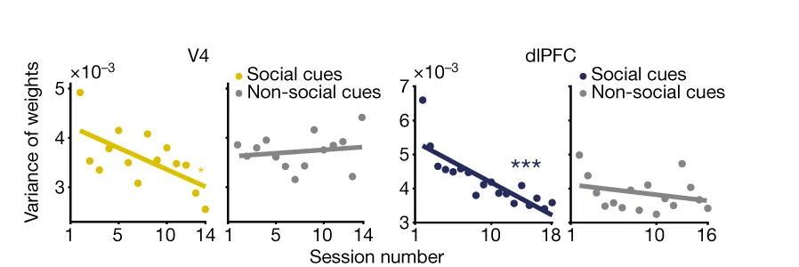 Open access visualization of Scatter Plot, Regression Plot, Weight Distributions, SVM Models, Decoding