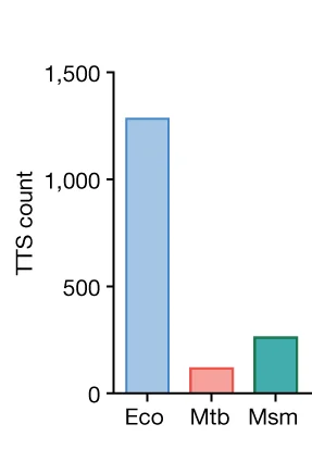 Open access visualization of Bar Plot, Bar Graphs, TTSs, SEnd-seq, Eco