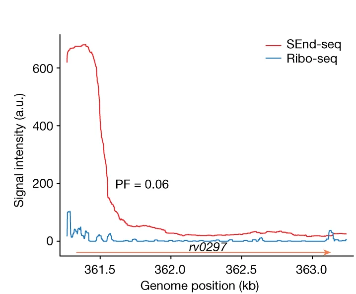 Open access visualization of Line Plot, SEnd-seq, Ribosome Profiling, Ribo-seq, Coding TU