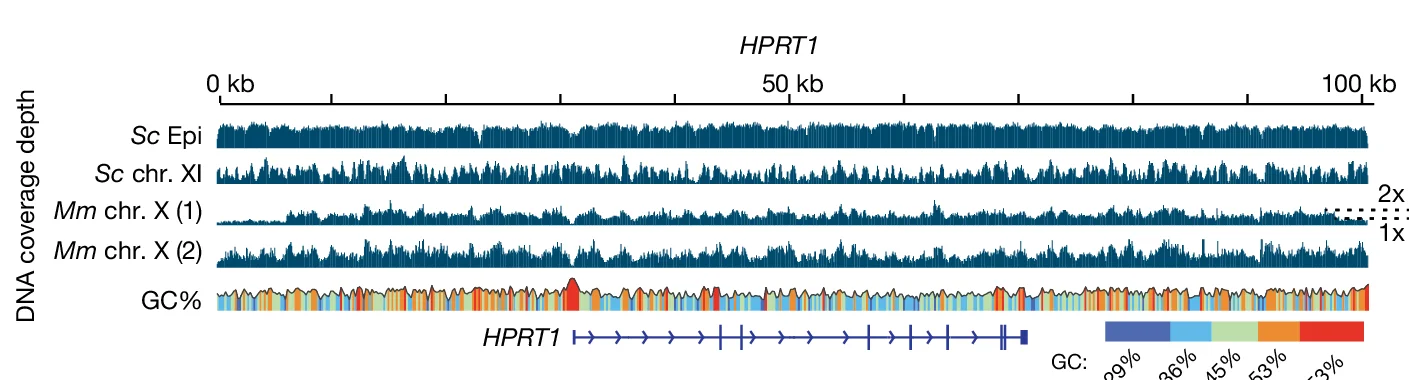 Open access visualization of Line Plot, Density Plot, DNA Sequencing, Coverage Plots, Next-Generation Sequencing