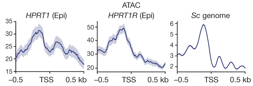 Open access visualization of Line Plot, Error Bars, ATAC-seq, TSS, CAGE-seq Peaks