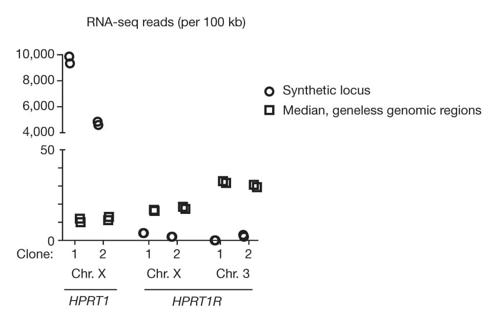 Open access visualization of Scatter Plot, RNA-seq, Read Counts, Synthetic Loci, Mouse Genome