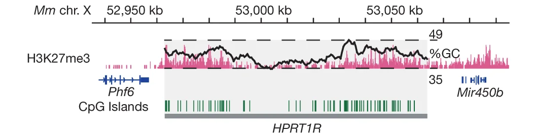 Open access visualization of Line Plot, Bar Plot, GC Content, HPRT1R, H3K27me3
