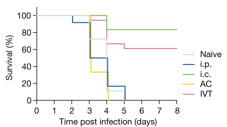 Open access visualization of Survival Curve, Line Step, C57BL/6J Mice, Immunization, Heat-Inactivated HSV-2